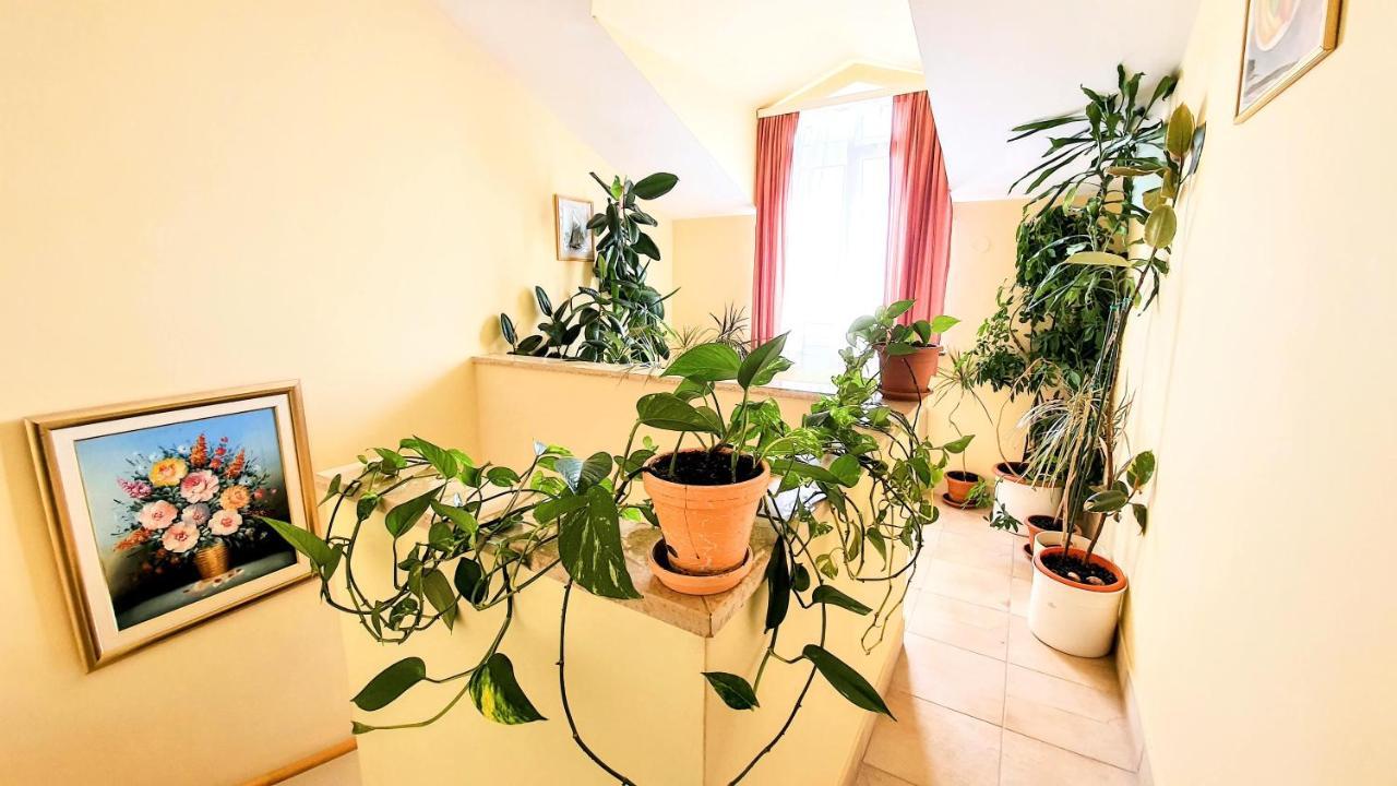 Villa Palcic Novalja Extérieur photo